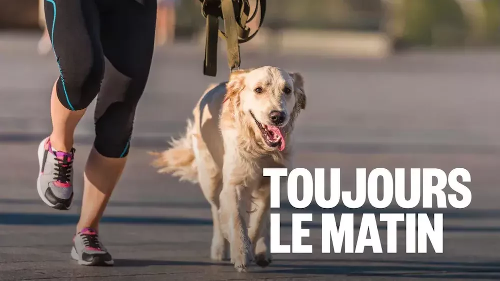 S'entrainer avec son chien